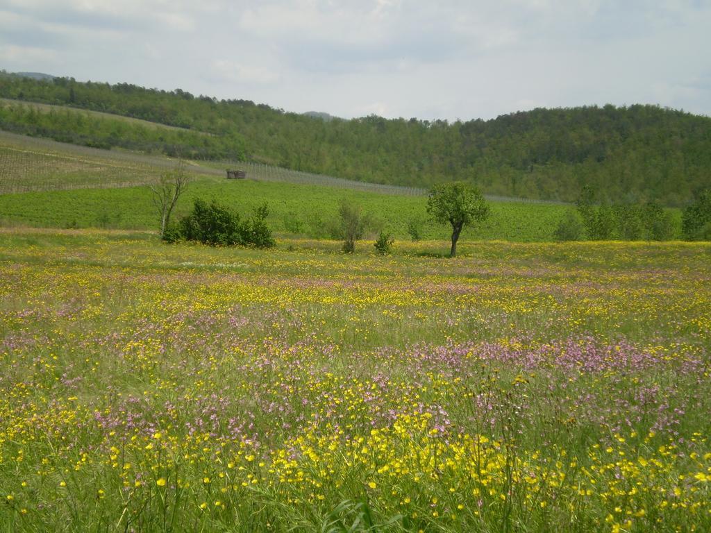 Chiardiluna Пістоя Номер фото